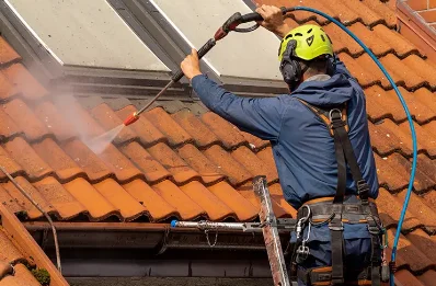 Démoussage et hydrofuge de toiture à Campistrous